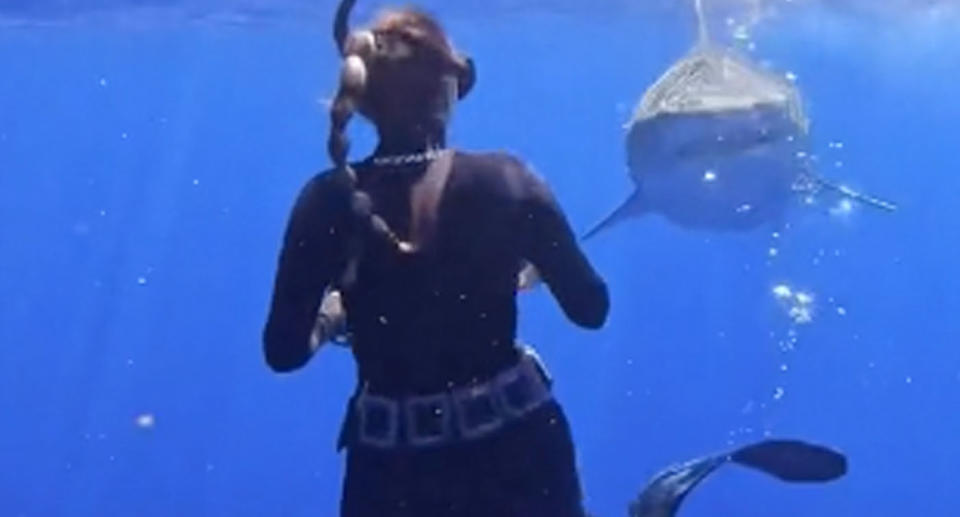 Footage of Diver Andriana Fragola who swims in Oahu, Hawaiii while demonstrating what to do when faced with a tiger shark. Source: TikTok/mermaid.kayleigh