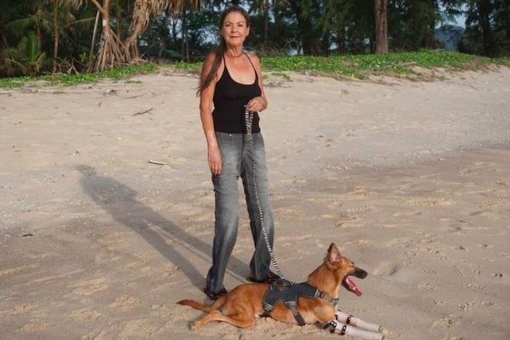 Best friends: Gill and Cola struck up an instant bond (Soi Dog Foundation)