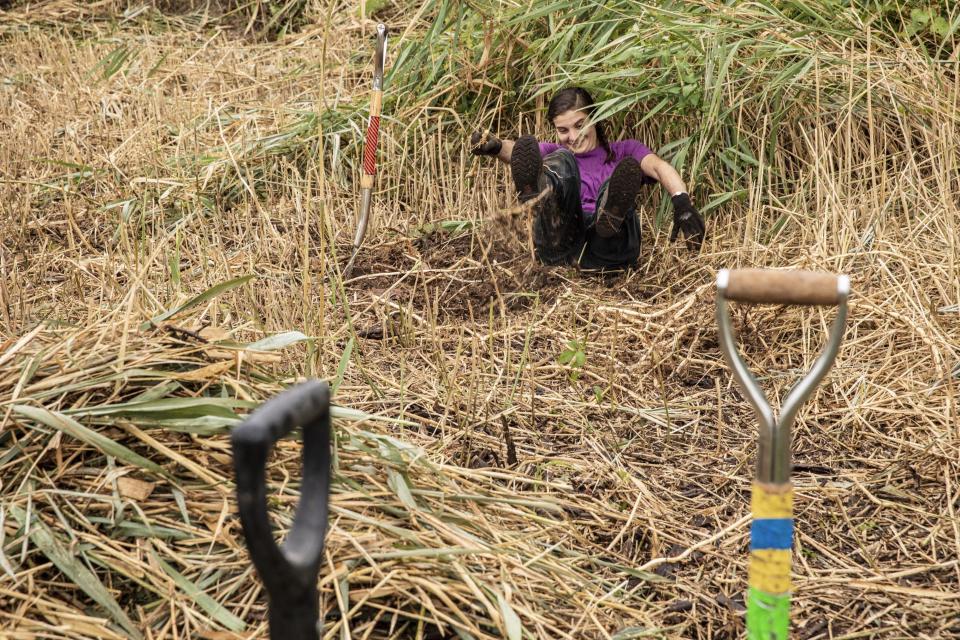 In this Saturday, Aug. 17, 2019, photo, Viviana Gentry Fernandez-Pellon, co-founder of Cooperation Operation, smiles as she falls on her back while working to clear section of high weeds and brush to create a new space for an organic produce garden in the Pullman neighborhood of Chicago. Large cities across the country are using a multi-pronged approach to bring healthy diets to "food deserts," mostly low-income neighborhoods located miles away from the nearest supermarket. They hope not only to reduce rates of diabetes, high blood pressure and obesity, but to encourage community activism and empowerment. (AP Photo/Amr Alfiky)