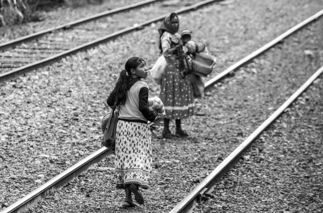 Chepe, el último tren de pasajeros en México