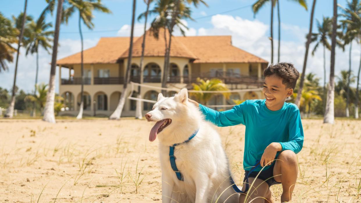 Husky sitting on the beach