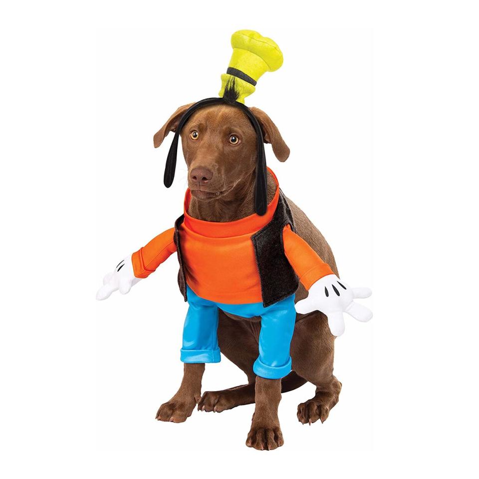 Dog wearing a Rubie’s Goofy Dog Costume on a white background