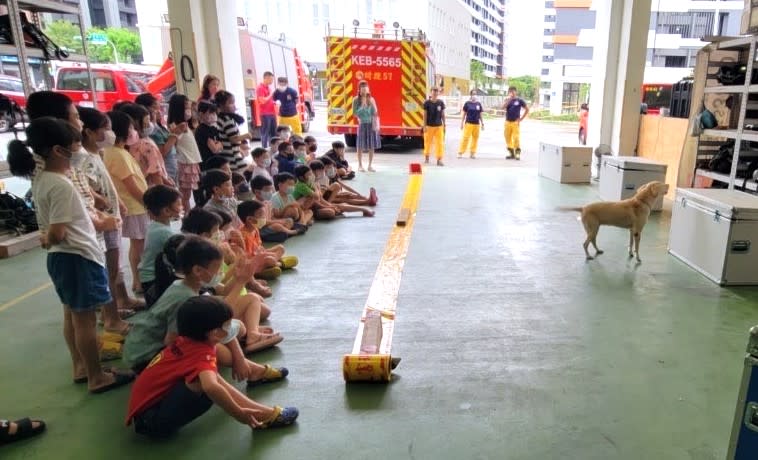 消防局大橋特搜分隊搜救犬表演專業救災行動，讓陶樂絲教育學苑師生留下深刻印象。（記者葉進耀翻攝）