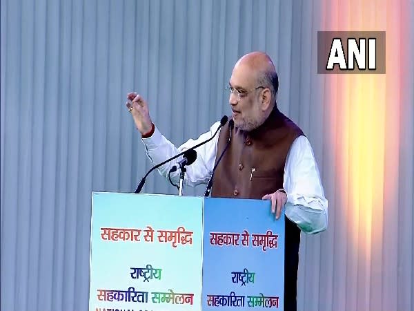 Union Home Minister Amit Shah (Photo/ANI) 