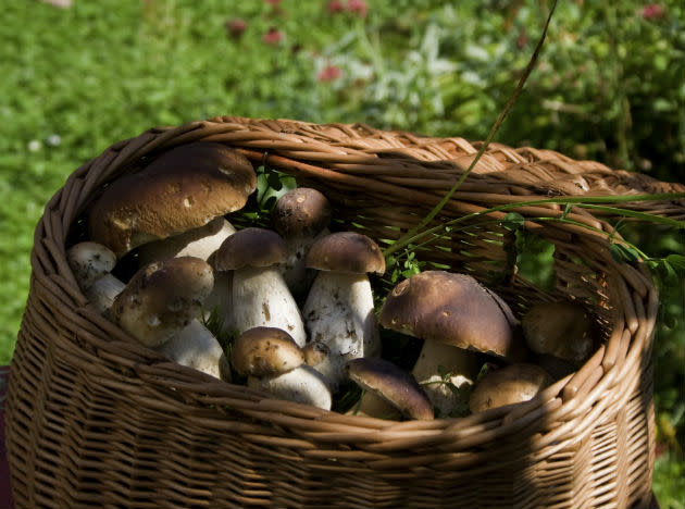 <b>Mushrooms deliver cancer-fighting antioxidants:</b> One study showed that women who ate just one third of an ounce of raw mushrooms a day (that's about one button mushroom) had a 64 percent reduction in breast cancer risk. Other research suggests that mushrooms reduce the effects of aromatase, a protein that helps produce estrogen - a major factor in some breast cancers.