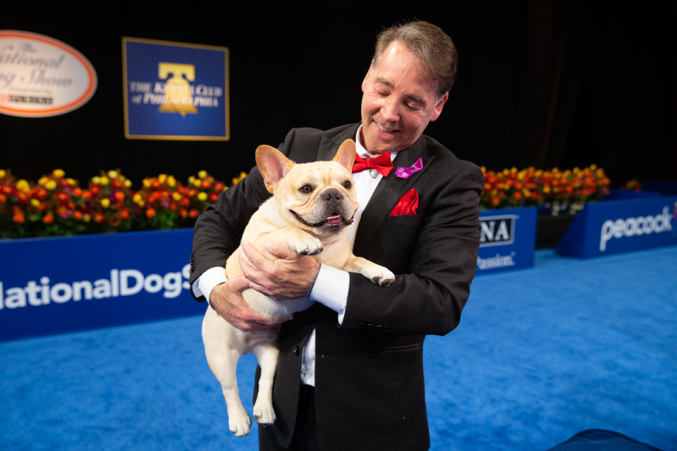 Winston the French bulldog with his handler and co-owner, Perry Payson (Courtesy of National Dog Show)