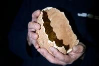 Dr. Omri Barzilai from the Israel Antiquities Authority displays a partial skull retrieved from a cave in northern Israel, in Jerusalem