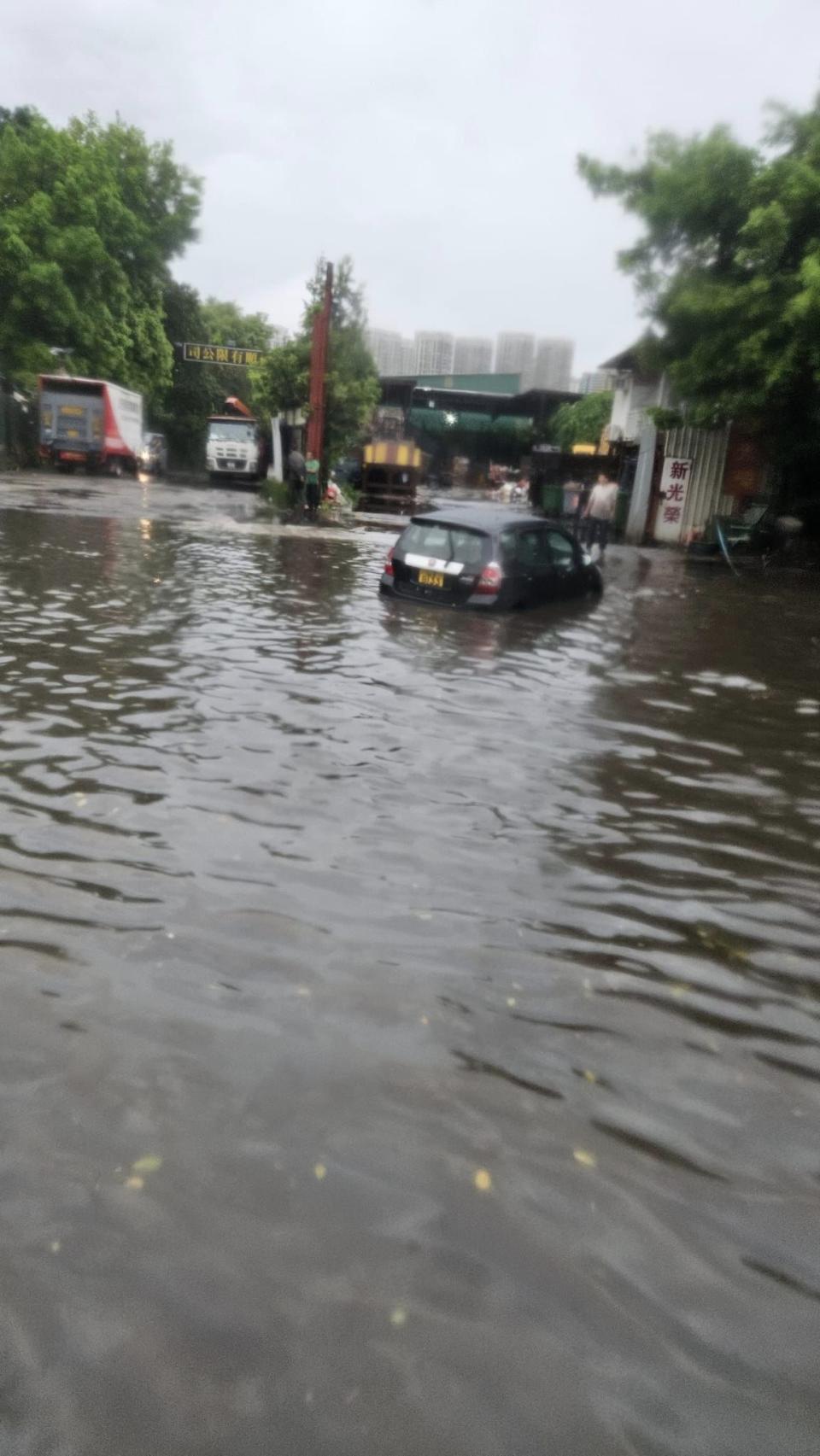 元朗屏廈路廈村有道路遭洪水淹沒（網上圖片：@厦村鄉 ( HA TSUEN HEUNG )）