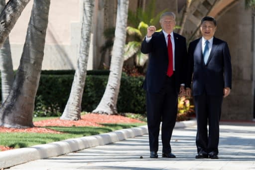 US President Donald Trump hosted his Chinese counterpart Xi Jinping at his Mar-a-Lago resort in Florida in April 2017