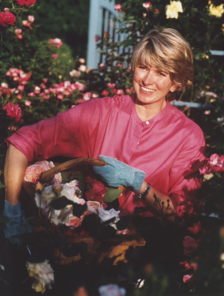 Martha Stewart, 1992