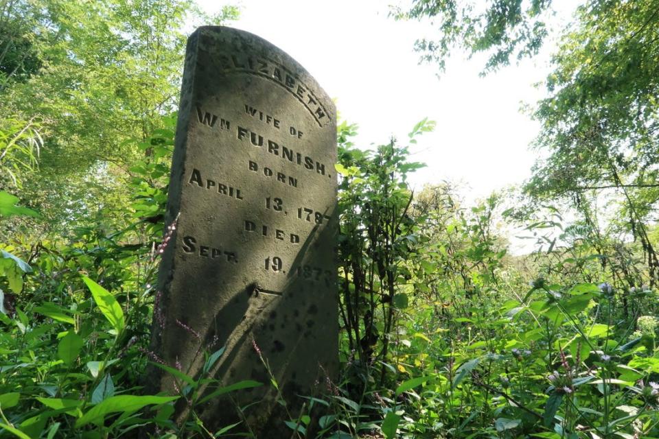 An aged tombstone stands in the overgrown Adams cemetery near Cynthiana, Kentucky.
Sep. 16, 2022