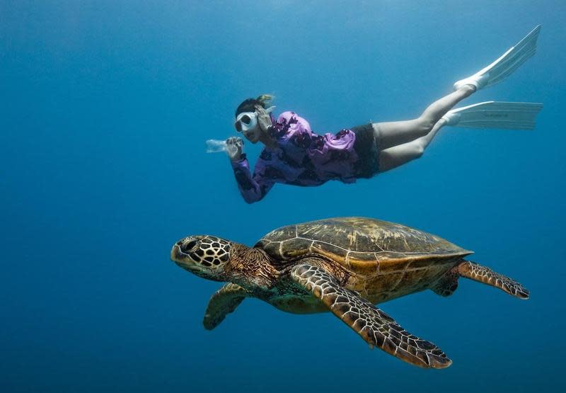 節目以海龜為主題赴小琉球錄影，每組選手需共創表達人類與環境之間關係的作品。（《決戰水下伸展台提供）