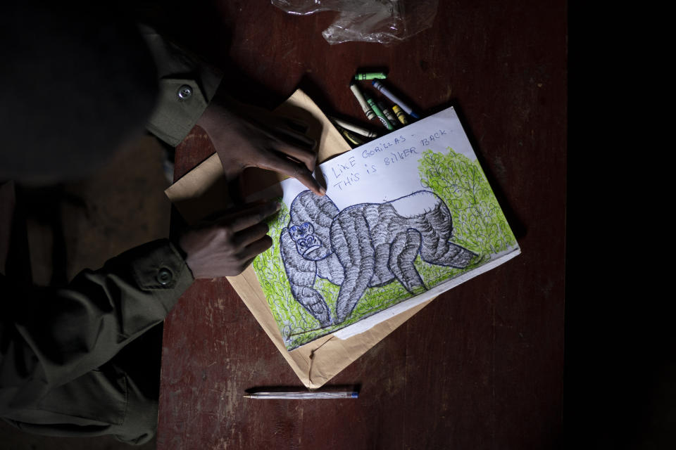 In this Sept. 7, 2019 photo, Jean Claude Masengesho draws a silverback gorilla in Kinigi, Rwanda. He would like to someday become a tour guide, which would earn him about $320 monthly. The obstacle is that most tour guides have attended college, and the 21-year old isn’t sure how his family can afford tuition. “It’s my dream, but it’s very hard,” he says. “In this village, every young person’s dream is to work in the park.” (AP Photo/Felipe Dana)