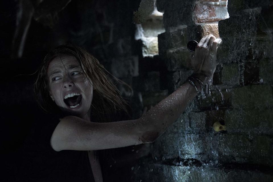 Kaya Scodelario in Crawl. (PHOTO: IMDB)