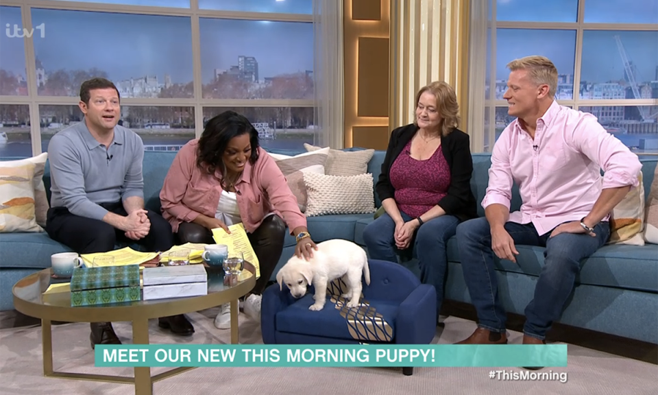 Alison Hammond strokes the This Morning puppy. (ITV screengrab)