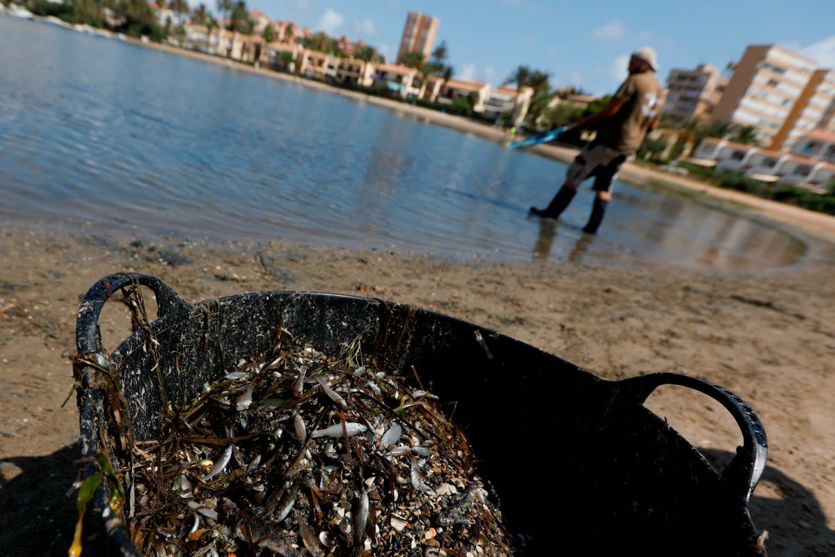 ESPAÑA-LAGUNA COSTERA (AP)