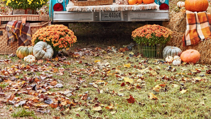 pickup truck thanksgiving decorations