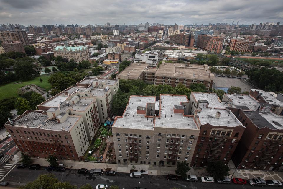 An urban garden is nestled between two prewar apartment buildings that face a public housing high-rise in the South Bronx. The vegetable garden, photographed Aug. 18, 2023., is one of one of 18 gardens owned by the nonprofit Bronx Land Trust. Carlos "Tony" Ramos, 78, who has managed the garden for the last three years, distributes the tomatoes, eggplants, peppers, and other vegetables that he grows to residents of the neighborhood.