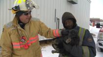 Puppy survives boat fire in Iqaluit that destroyed man's residence
