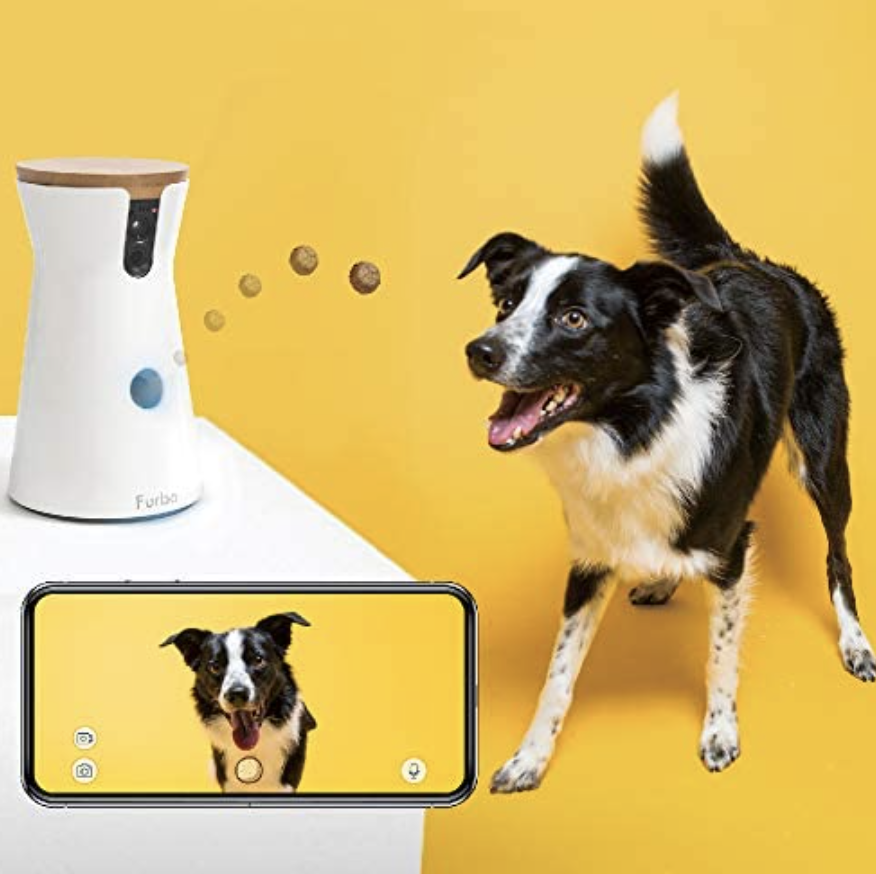 Scout is going to be over the moon with his fancy new gizmo. (Photo: Amazon)