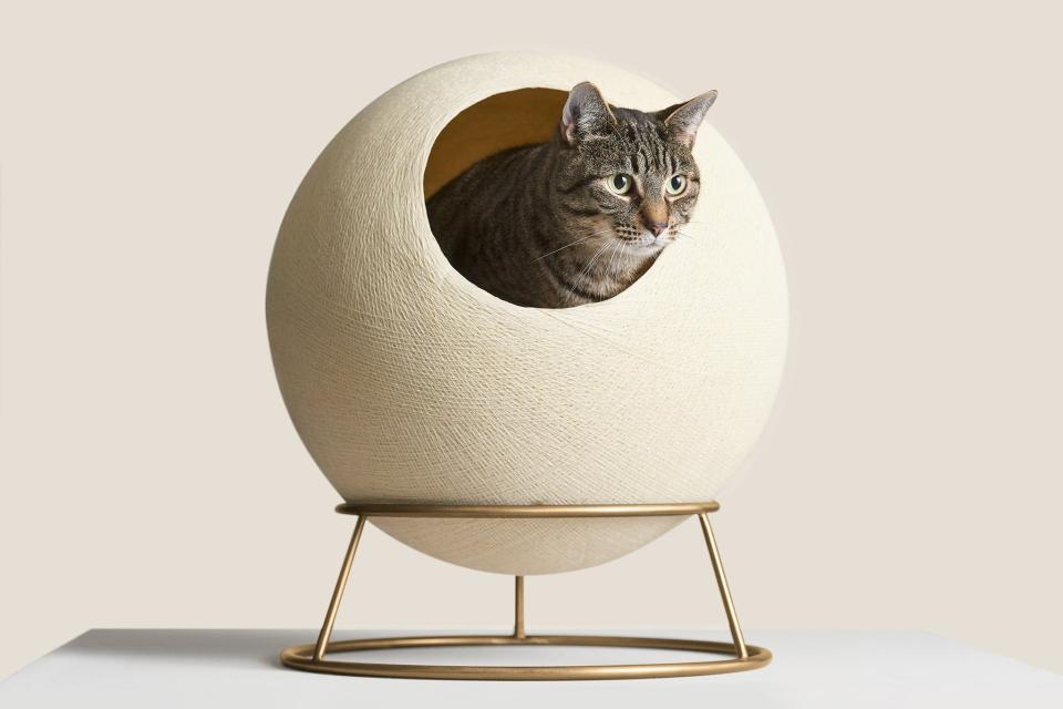 <p><a href="https://go.redirectingat.com?id=74968X1596630&url=https%3A%2F%2Fwww.tuftandpaw.com%2Fcollections%2Fall%2Fproducts%2Fstellar-cat-bed&sref=https%3A%2F%2Fwww.housebeautiful.com%2Fshopping%2Fg40943102%2Fgifts-for-cat-lovers%2F" rel="nofollow noopener" target="_blank" data-ylk="slk:Shop Now;elm:context_link;itc:0;sec:content-canvas" class="link ">Shop Now</a></p><p>Stellar Cat Bed</p><p>tuftandpaw.com</p><p>$299.00</p>