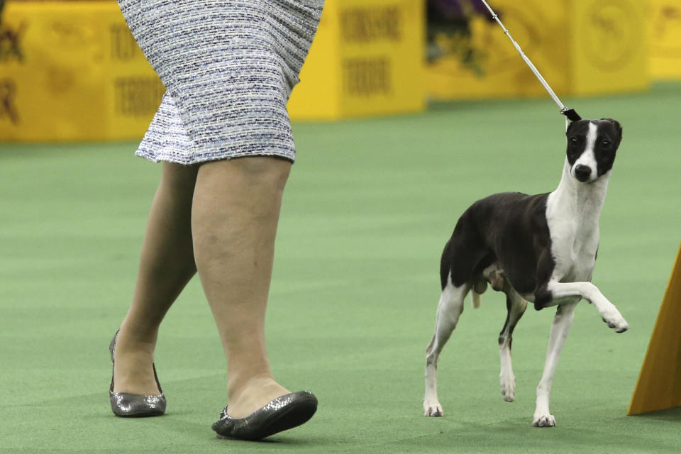 (AP Photo/Mary Altaffer)