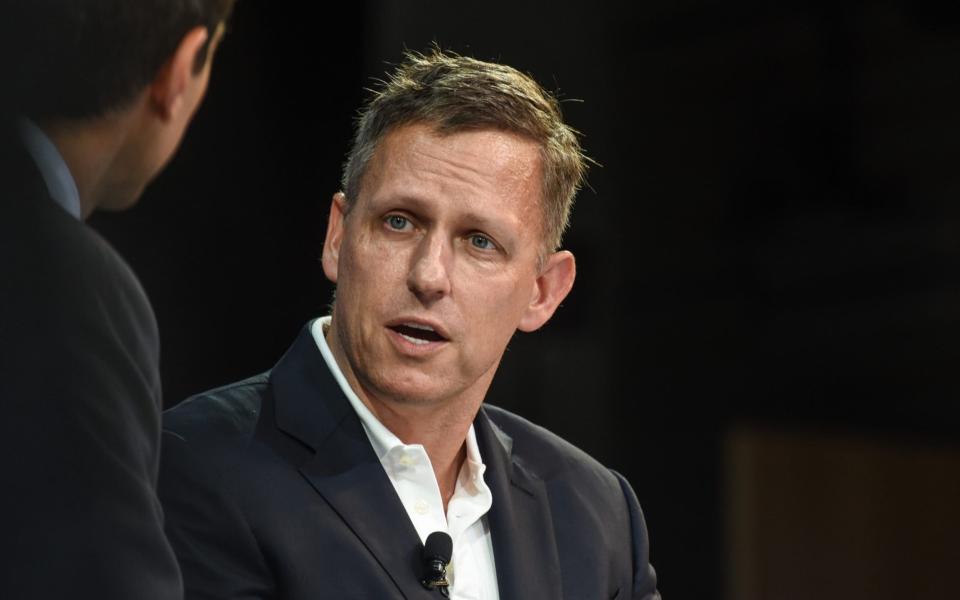 Peter Thiel - Stephanie Keith/Getty Images