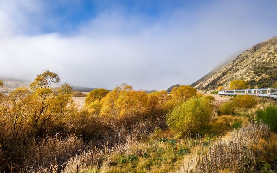 Tranzalpine train in New Zealand mountains - Getty