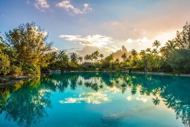 <p>John Kincaid/Courtesy of The St. Regis Bora Bora</p> The Lagoonarium at The St. Regis Bora Bora.