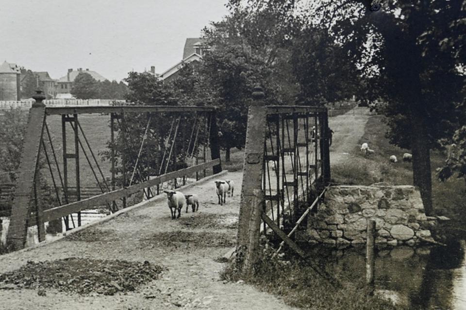 A photo of sheep crossing the Farm Lane bridge in 1911 is on display at the construction site on Wednesday, July 12, 2023, on the Michigan State University campus in East Lansing.