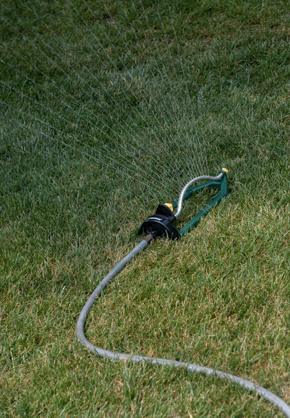 A sprinkler was set up to water the grass this week at the Kent Municipal Courthouse.