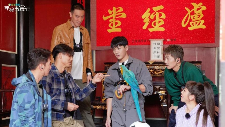 温昇豪（左起）、AKIRA、王陽明、禾浩辰、蔡昌憲、王彩樺替鸚鵡「五金」舉辦抓周活動。（圖／衛視原創提供）