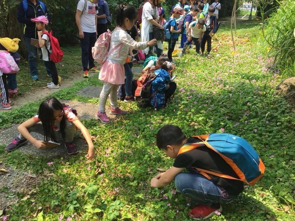 田心仔步道生態豐富，孩子們於此觀察昆蟲與植物(葉映辰老師提供)