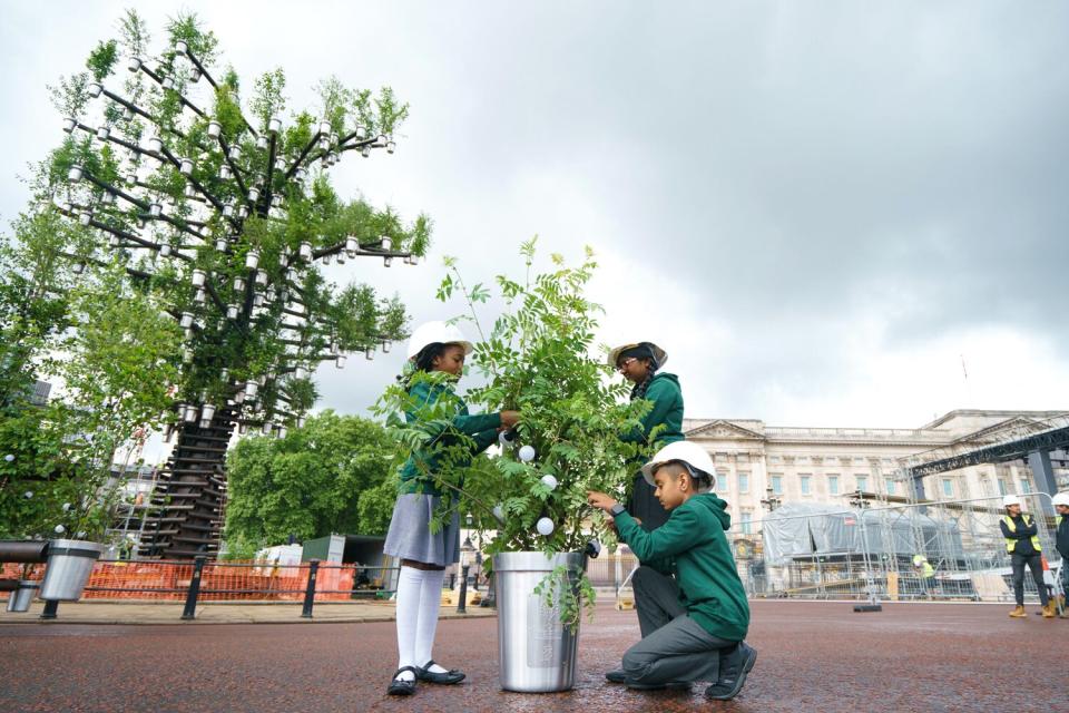 Queen's Green Canopy (QGC) Tree of Trees