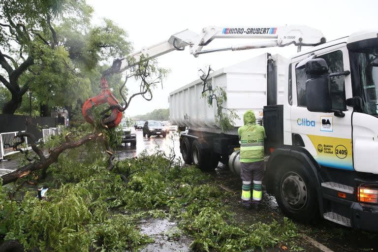 La remoción de ramas y árboles caídos continúa en la Ciudad de Buenos Aires