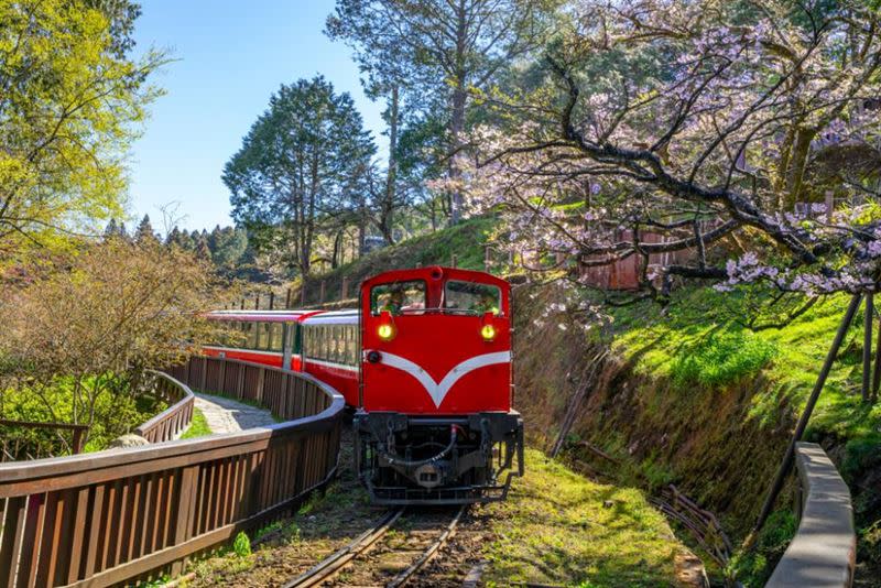 嘉義與花蓮因為自然景觀豐富，分別是日本跟韓國旅客的熱門旅遊目的地，且以阿里山跟太魯閣包車一日遊行程最熱銷，圖為阿里山小火車。（圖／KKday提供）