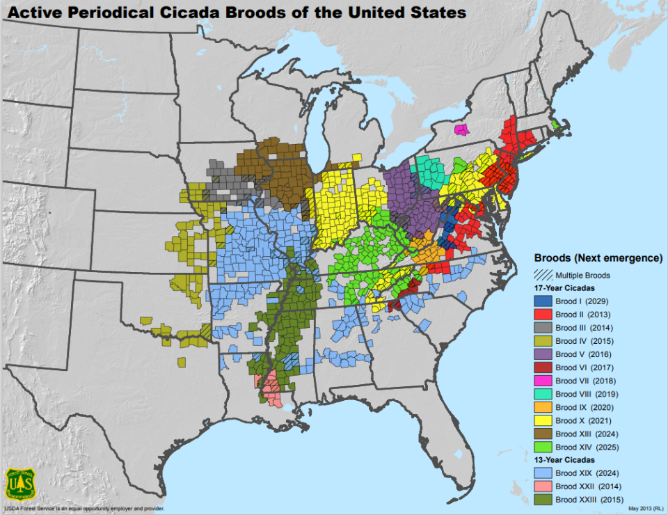 In 2013, the USDA Forest Service published this detailed map of the 15 periodic cicada broods in the U.S. and their emergence years between 2013 and 2029.