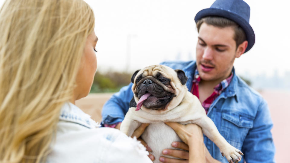 man handing dog over to girl