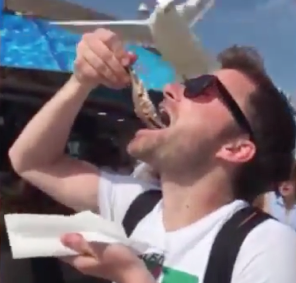 Seagull steals tourist's lunch just as it's going in his mouth (video)