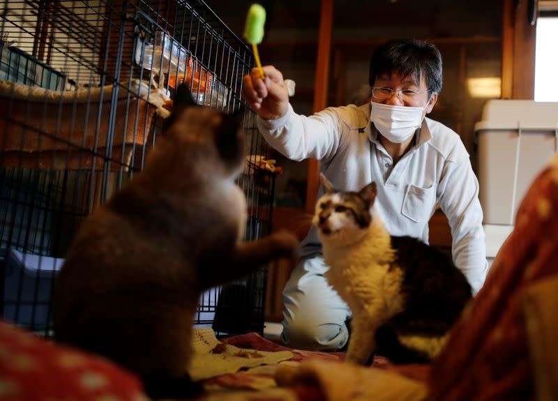 The Wider Image: The man who saves forgotten cats in Fukushima's nuclear zone