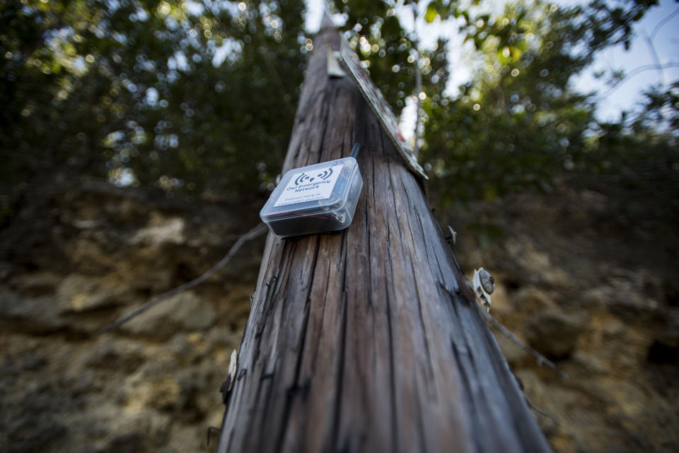 This March 13, 2019 photo shows a transmitter, that is part of the Clusterduck system that provides a low-frequency Wi-Fi connection, attached to a power pole, during a field test in Isabela, Puerto Rico. The transmitters are powered by batteries and maybe eventually solar power. (AP Photo/Carlos Giusti)