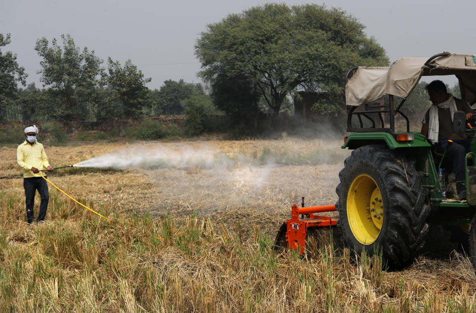 A farmer sprays bio-decomposer to convert agricultural waste into compost in a field, in a bid to contain farmers from setting fire to their post-harvest fields that need clearing for the next crop season, in New Delhi, India, Tuesday, Oct. 13, 2020. The smoke from neighboring states travels to New Delhi, leading to a surge in pollution levels in the city of more than 20 million people, exacerbating what is already a public health crisis. But the microbial liquid solution that softens the hard stubble and turns it into compost, thus ruling out the need to burn the agricultural crop, is being billed as a game-changer that can help reduce smoke emissions from India’s vast farmlands. (AP Photo)