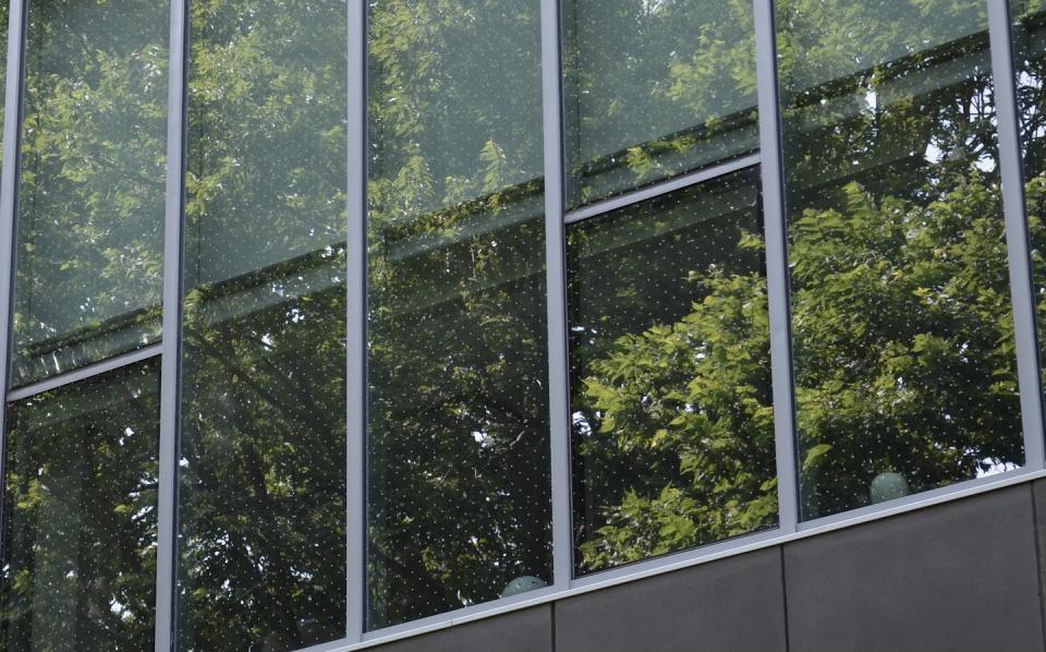 Une fenêtre anticollision pour les oiseaux, avec un motif de points répétitifs. Brendon Samuels/FLAP Canada