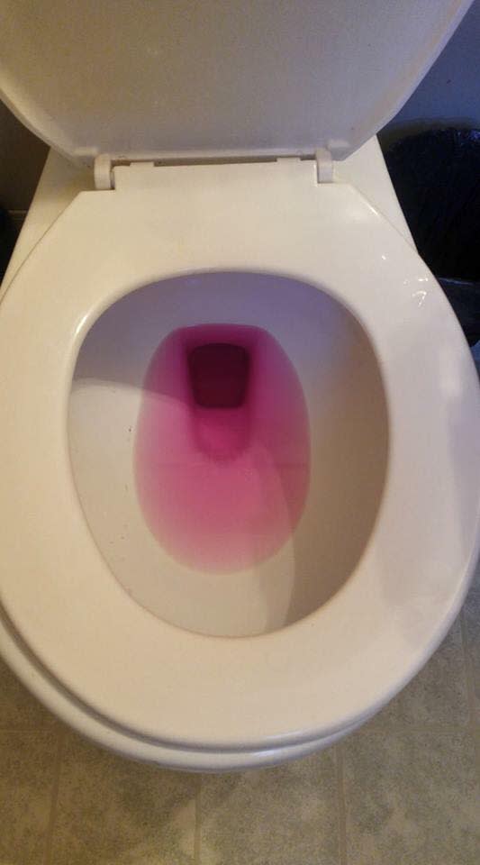 Even toilet water turned pink (Picture: Erin Lacey/Facebook)