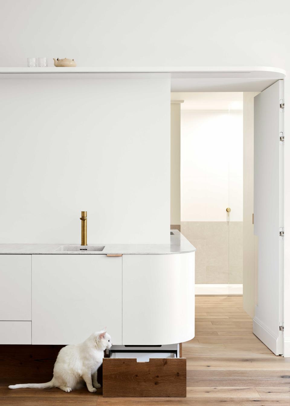 a conceal door in an apartment