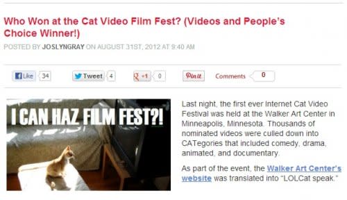 August: A Film Fest Exists for Internet Cat Videos