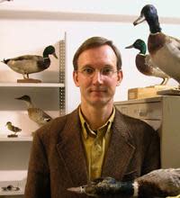 基斯‧穆萊克與他的鴨子標本收藏。（Improbable Research提供）