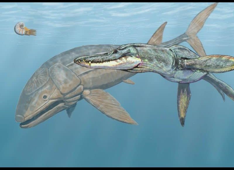 The fearsome Liopleuredon, right, had a jaw nearly ten feet long. The Leedsichthys, left, was a bony fish that may have been even larger than it looked; some estimates put its maximum length at 53 feet.    <strong>Correction</strong>: <em>An earlier version of this slide had the positions of the Liopleuredon and Leedsichthys reversed</em>.