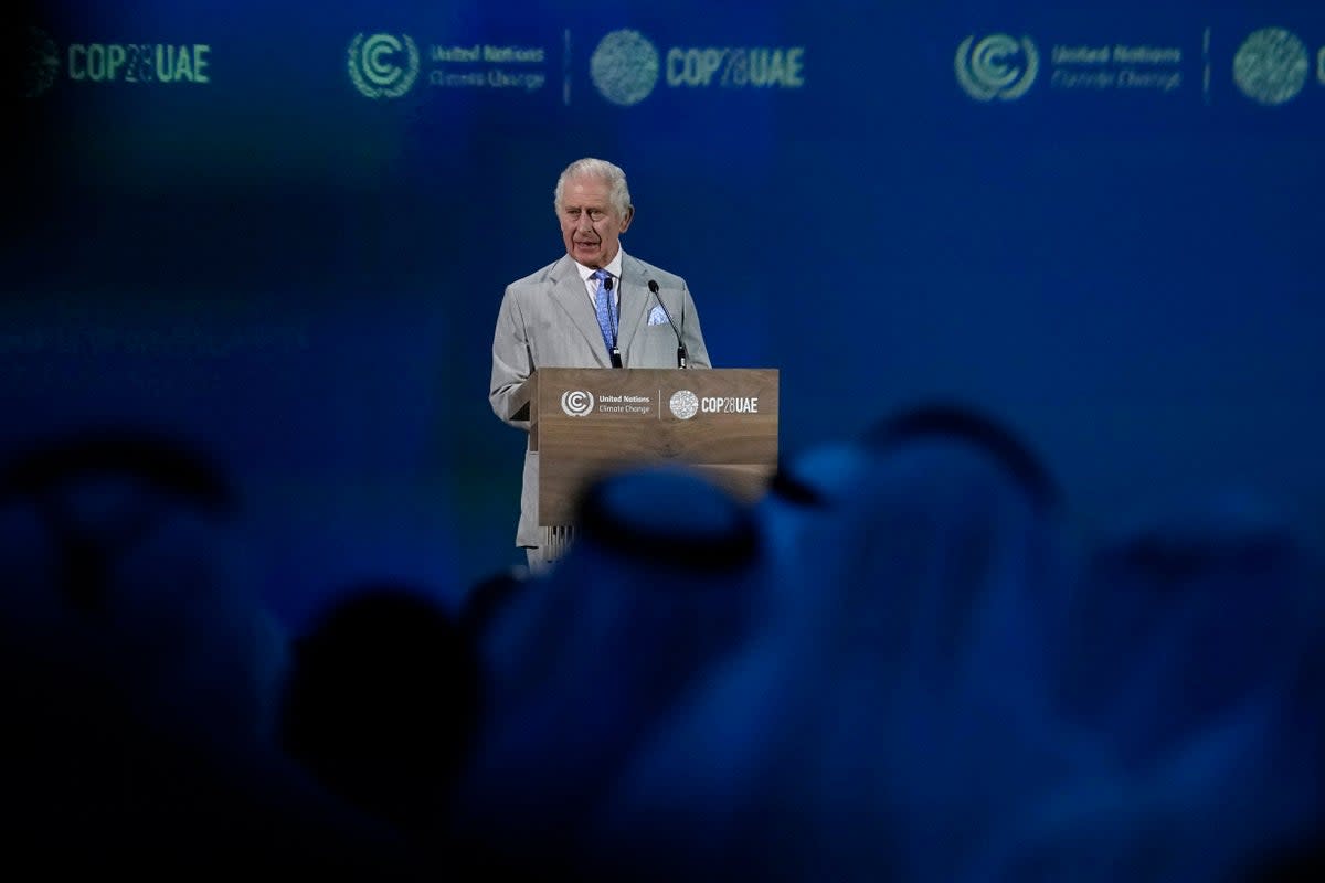 Charles speaks during the opening ceremony of the Cop28 UN climate summit earlier this month (AP)