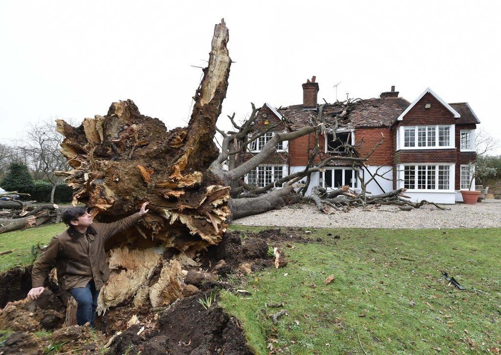 Dominic Good, looks at the roots of a 400-year-old oak tree in his garden, which was uprooted by Storm Eunice and fell onto his property in Stondon Massey, near Brentwood (Nicholas T Ansell/PA) (PA Wire)